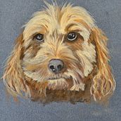 Pastel portrait 'Tilley'. Traditional illustration, and Fine Arts project by suemackenzie186 - 01.22.2023
