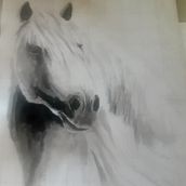 My project for course: Animal Illustration with Charcoal and Ink. Fine Arts, Drawing, Ink Illustration, and Naturalistic Illustration project by thepolchetpaddock - 01.22.2023
