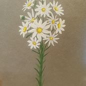 Bouquet de marguerites à la gouache Ein Projekt aus dem Bereich Traditionelle Illustration von Julie FESERT - 22.01.2023