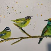 Mon projet du cours : Techniques artistiques d'aquarelle pour illustrer les oiseaux. Traditional illustration, Watercolor Painting, Realistic Drawing, and Naturalistic Illustration project by cocotte71_mjp - 01.22.2023