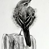 Lesson in values Ein Projekt aus dem Bereich Traditionelle Illustration, Realistische Zeichnung und Naturalistische Illustration von oldriska.chutna - 23.01.2023