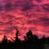 My project for course: Content Creation and Editing for Instagram Stories. Social Media, Mobile Photograph, Digital Marketing, Digital Photograph, Mobile Marketing, Instagram, Content Marketing, Instagram Photograph, Instagram Marketing, Lifest, and le Photograph project by ddmacedo2004 - 01.23.2023