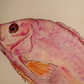 Mein Abschlussprojekt für den Kurs: Kreatives Sketching mit Aquarell für Anfänger. Traditional illustration, Sketching, Creativit, Drawing, Watercolor Painting, and Sketchbook project by laraoleart - 01.23.2023