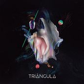 Triangula, Triangula. Music Production, Music, Audio, and Sound Design project by Tatu Estela - 01.23.2023