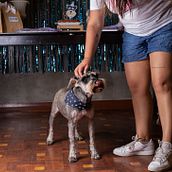 Mi proyecto del curso: Fotografía lifestyle de perros. Un progetto di Fotografia, Fotografia di ritratto, Fotografia per Instagram, Fotografia documentaria, Fotografia lifest e le di Daniel Alegre - 24.01.2023