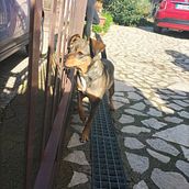 Il mio progetto del corso: Creazione di un piano editoriale mensile per Instagram. Un progetto di Social media, Fotografia con smartphone, Marketing digitale, Content marketing, Fotografia per Instagram e Marketing per Instagram di Angelica Longo - 24.01.2023