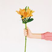 BLUME for VEIN Magazine (2021) . Direcția artistică și Fotografie de modă de Clara Serrano - 01.24.2023