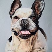 Retrato Animales (Lápices Colores). Traditional illustration, Fine Arts, Colored Pencil Drawing, Artistic Drawing, Design, and Realistic Drawing project by nenetuya - 01.24.2023