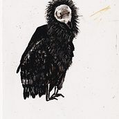 My project for course: Wallcreeper Bird & California Condoor Bird. Un progetto di Illustrazione tradizionale e Belle arti di Margot Huang - 24.01.2023