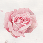 Il mio progetto del corso: Tecniche applicate di illustrazione ad acquerello. Een project van Traditionele illustratie,  Beeldende kunst, Schilderij y Aquarelschilderen van Giorgia Bianco - 01.01.2023
