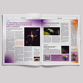 COSMOS / Scientific editorial. Editorial Design, Design, Photograph, Br, ing, Identit, Art Direction, Graphic Design & Information Design project by María del Rosario Torrijos Fuertes - 01.25.2023