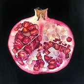 Botanical Illustration of a Pomegranate. Fine Arts project by leila_ali_artstudio - 01.25.2023