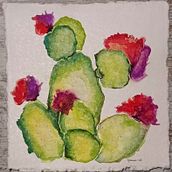 Cactus. Un progetto di Pittura ad acquerello di Gemma Aurich Muntané - 25.01.2023