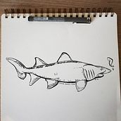 Mi proyecto del curso: Sketching diario como inspiración creativa.. Traditional illustration, Sketching, Creativit, Drawing, Sketchbook, Painting, and Digital Drawing project by Leidy Graciano - 01.25.2023