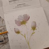 1st Year of Watercolor Painting - Mostly from tutorials. Painting project by Lauren Gregory - 01.26.2023