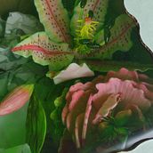 Flores de azúcar . 3D project by Violeta Sacor - 01.25.2023