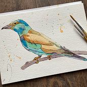Mein Abschlussprojekt für den Kurs: Illustriere Vögel mit expressiven Aquarelltechniken. Een project van Traditionele illustratie, Aquarelschilderen, Realistische tekening y Naturalistische illustratie van chaosimkopf - 26.01.2023