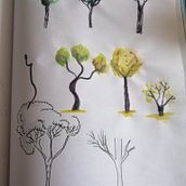 Mi proyecto del curso: Dibujo para principiantes nivel -1. Pencil Drawing, Drawing, Creating with Kids, and Sketchbook project by Alba del Rocio Zamora Muñoz - 01.26.2023