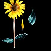 Mi proyecto del curso: Ilustración botánica con acuarela. Traditional illustration, Fine Arts, Painting, Drawing, Watercolor Painting, and Botanical Illustration project by Abner Saúl - 01.27.2023