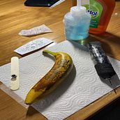 Mi proyecto del curso: Introducción a las técnicas del tatuaje . % J Pp tarafından hazırlanan Geleneksel illüstras, on, Dövme Tasarımı, Botanik İllüstras, Ve on projesi - 01.26.2023