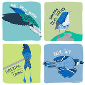 inspired by birds. Traditional illustration project by Anastasiia Taraskevych - 10.26.2022