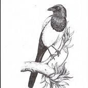 My project for course: Naturalist Illustration with Ballpoint Pen . Un progetto di Illustrazione tradizionale, Disegno, Disegno realistico e Illustrazione naturalistica di mirhayasu - 28.01.2023