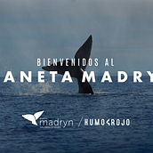 #PlanetaMadryn. Advertising, Digital Marketing, Br, Strateg, Social Media, and YouTube Marketing project by Humo Rojo - 01.28.2023