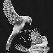 𝘛𝘰𝘳𝘮𝘦𝘯𝘵 | Naturalistic Animal Drawing with Graphite Pencil. Traditional illustration, Pencil Drawing, Drawing, and Naturalistic Illustration project by Audrey Lauriston - 01.28.2023
