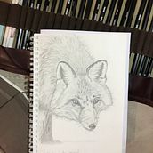Mon projet du cours : Dessin naturaliste d'animaux au crayon graphite. Un progetto di Illustrazione tradizionale, Disegno a matita, Disegno e Illustrazione naturalistica di cobristan - 25.01.2023
