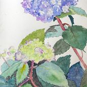 Watercolors. Traditional illustration project by Carol Bowen - 01.29.2023