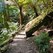 La La Falls. Photograph project by Fiona Lokot - 01.07.2023