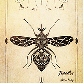 Insectos. Un progetto di Illustrazione tradizionale, Illustrazione digitale, Illustrazione con inchiostro e Illustrazione naturalistica di Anca Balaj - 29.01.2023