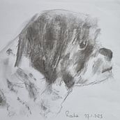 Mijn project van de cursus: Leer dieren illustreren met houtskool en inkt. Fine Arts, Drawing, Ink Illustration, and Naturalistic Illustration project by Gusta Rinzema - 01.30.2023