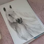 My project for course: Expressive Animal Portraits in Watercolor. Un proyecto de Ilustración tradicional, Pintura a la acuarela, Dibujo realista e Ilustración naturalista				 de Chloe Blundell - 09.03.2023