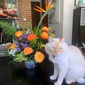  Diseño de arreglos con flores de temporada- COLOMBIA . % ginamariacaro tarafından hazırlanan İç Tasarım, Pe, zaj Mimarisi, Dekoras, on, Kendin Yap, Ve Çiçek ve Bitki Tasarımı projesi - 01.11.2023