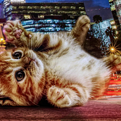 Montaje con Affinity Photo Ein Projekt aus dem Bereich Design von Pedro Samuel Rodríguez - 28.01.2023