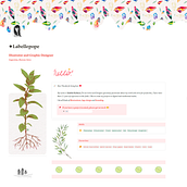Mi proyecto del curso: Introducción a Notion para proyectos creativos. Web Development project by Yamile Pacheco - 01.24.2023