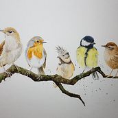 Mein Abschlussprojekt für den Kurs: Illustriere Vögel mit expressiven Aquarelltechniken. Traditional illustration, Watercolor Painting, Realistic Drawing, and Naturalistic Illustration project by kerstin13 - 01.31.2023