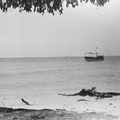 Todos hemos de morir. Un proyecto de Bellas Artes de Juliet Sarmiento - 31.01.2023