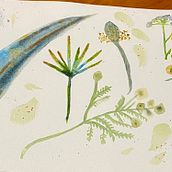 My project for course: Artistic Floral Watercolor: Connect with Nature. Traditional illustration, Painting, Watercolor Painting, and Botanical Illustration project by justjules70 - 01.31.2023
