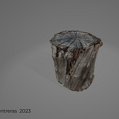 Fotogrametría a Tronco. Projekt z dziedziny 3D,  Modelowanie 3D, Gr, komputerowe,  Projektowanie 3D, Projektowanie gier komputerow i ch użytkownika Leonardo Contreras Camacho - 30.01.2023