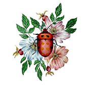 Acuarela botanica . Traditional illustration project by Pili Guardiola - 02.02.2023