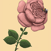 My project for course: Natural Illustration with Digital Painting. Traditional illustration, Drawing, Digital Illustration, Realistic Drawing, Digital Painting, and Naturalistic Illustration project by Elizabeth M. - 02.13.2023