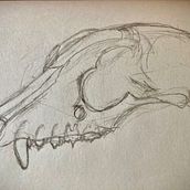 Anatomical Sketches. Een project van  Schetsen van Dr. Jerry McNally - 01.08.2021