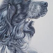 Meu projeto do curso: Retratos expressivos de animais em aquarela Ein Projekt aus dem Bereich Traditionelle Illustration, Aquarellmalerei, Realistische Zeichnung und Naturalistische Illustration von Bruna Melo - 02.02.2023