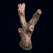 My first Scan / Trunk. Un proyecto de 3D, Modelado 3D, Videojuegos, Diseño 3D y Diseño de videojuegos de Jimmy Ramírez - 31.01.2023