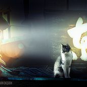 Cat in Japan. Design, Traditional illustration, Photograph, and Graphic Design project by Willian Guimaraes - 01.27.2023