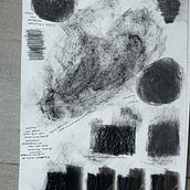 My project for course: Animal Illustration with Charcoal and Ink. Fine Arts, Drawing, Ink Illustration, and Naturalistic Illustration project by Bev Barends - 02.03.2023