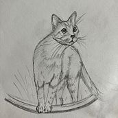Progresser au dessin. Un progetto di Illustrazione tradizionale, Disegno a matita, Disegno, Illustrazione digitale, Disegno di ritratti e Disegno artistico di Em' - 03.02.2023