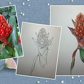 My project for course: Botanical Sketchbooking: A Meditative Approach. Traditional illustration, Sketching, Drawing, Watercolor Painting, Botanical Illustration, and Sketchbook project by Cynthia Xu - 02.04.2023